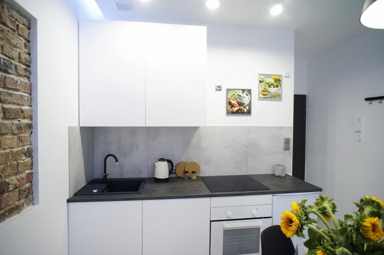 Modern Apartment In The City Center Katowice Kültér fotó